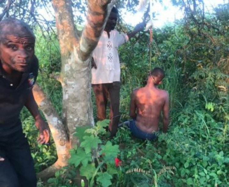 Farmer Allegedly Commits Suicide 