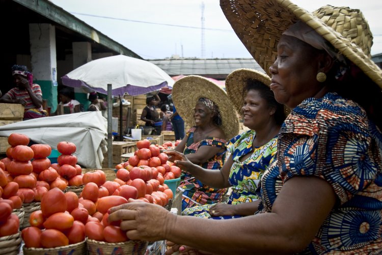 Sunyani: Tomato sellers urge government to extend 1V 1D project 