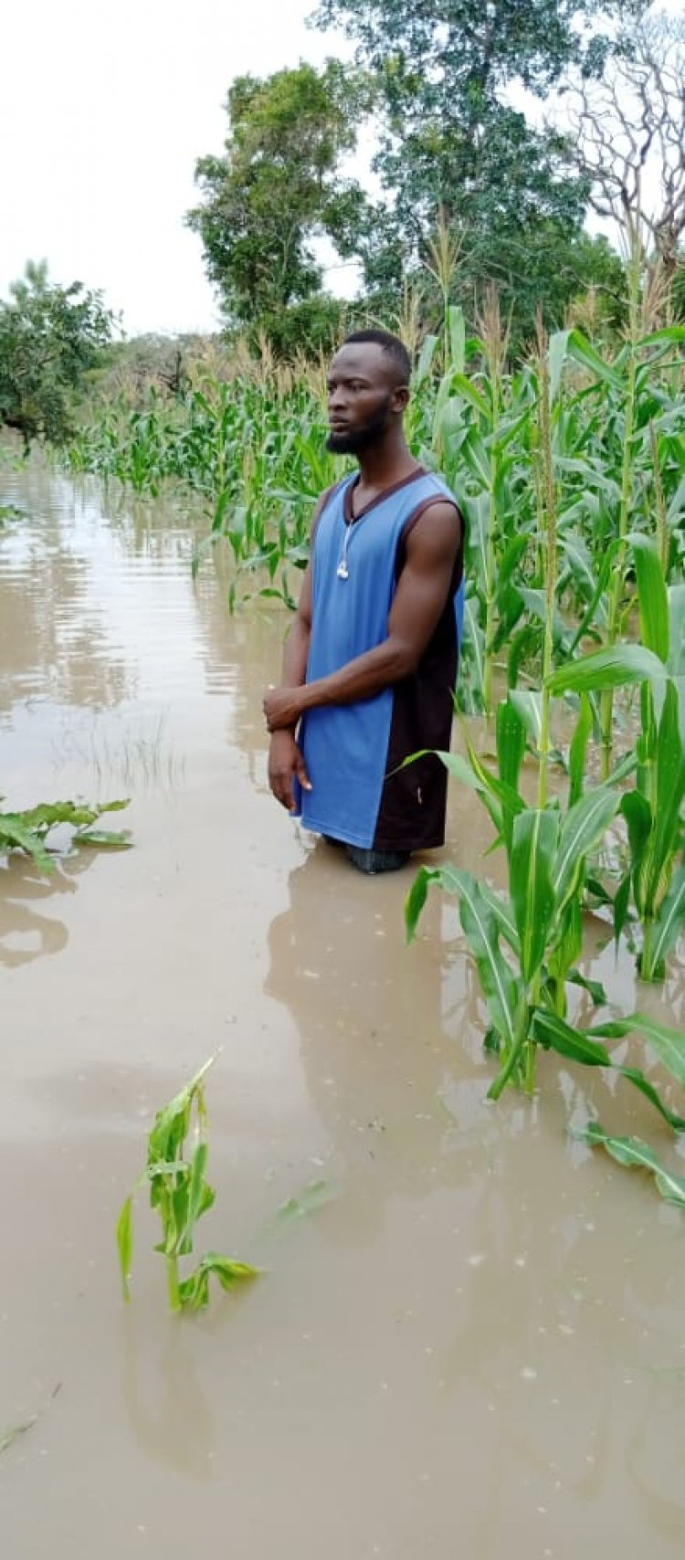 Heavy Downpour Destroys 45 Homes, One Dead - Upper West Region NADMO