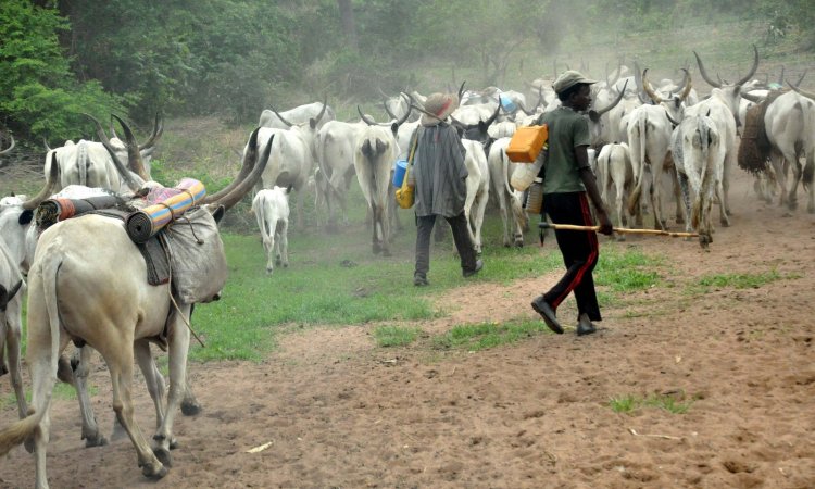 Tension Hypes at Okobeyeyie between Farmers and Fulani Herdsmen 