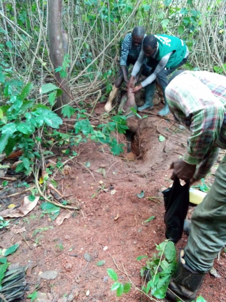 Man entrapped in a Rat Hole found dead