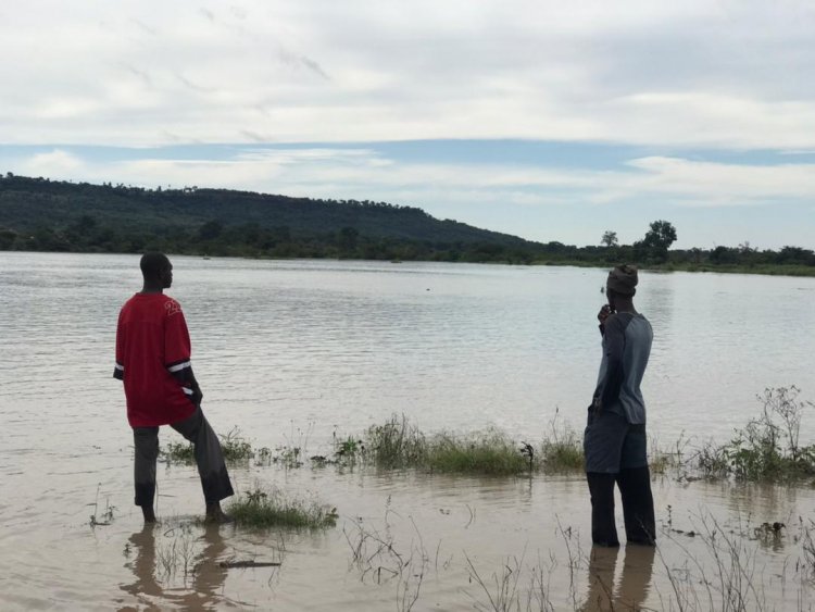 Rain Destroys 200 Acres Of Rice farms