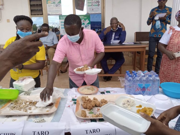 Sunyani West Agric directorate introduced farmers to 4 new varieties of Taro, holds food bazaar 