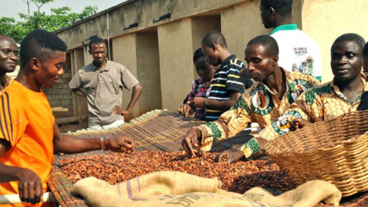 Cocoa Farmers Pension Scheme in operation