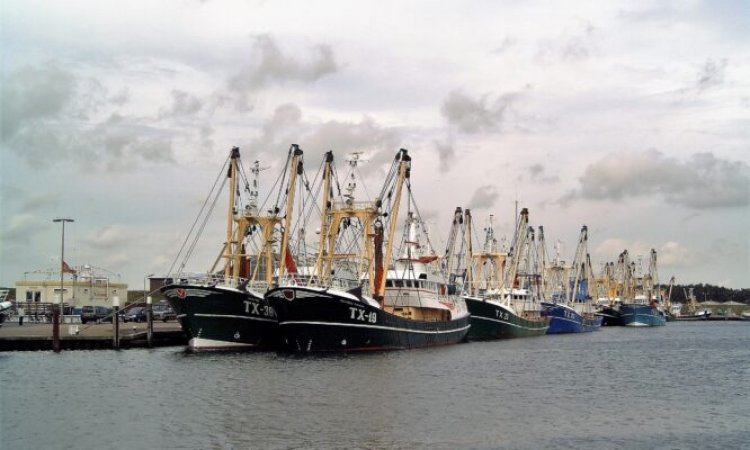 Abandon idea of increasing  industrial trawl fleet  Artisanal fishers tell Govt 