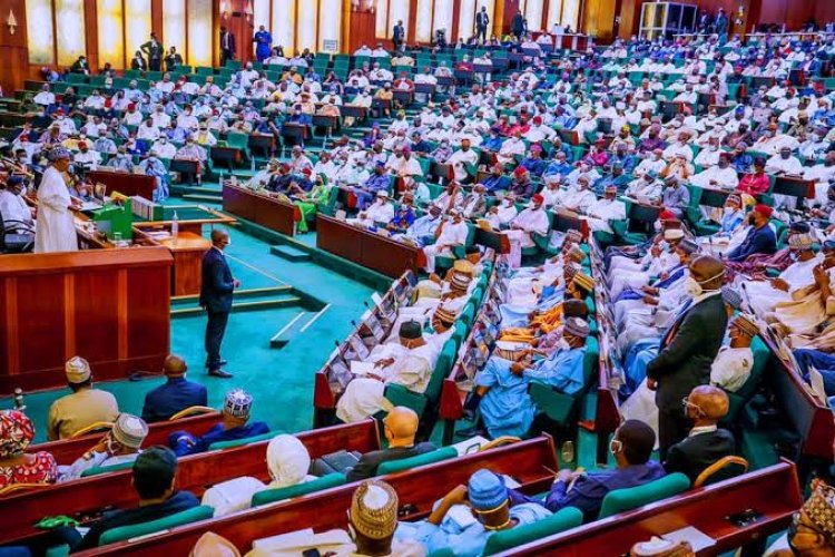 Nigerian Senate passes 2022 budget, increases It by N1Trillion