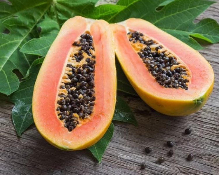 Papaya health benefits That You May Not Know