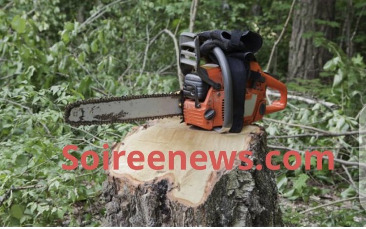 Western region Ten alleged illegal chainsaw operators arrested