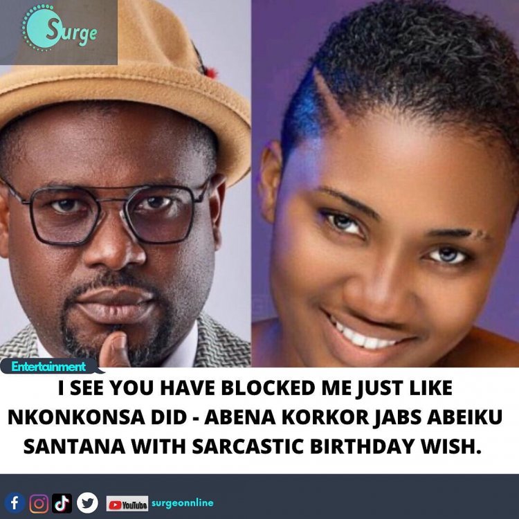 I See You Block Me Just As Nkonkonsa Did- Abena Korkor Slams Abieku Santana