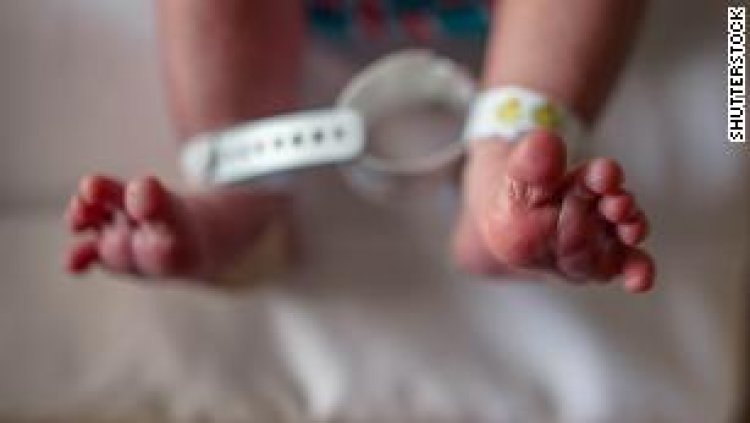 Births in the United States are still down, but they 'might be recovering to pre-pandemic levels,' according to preliminary CDC data.