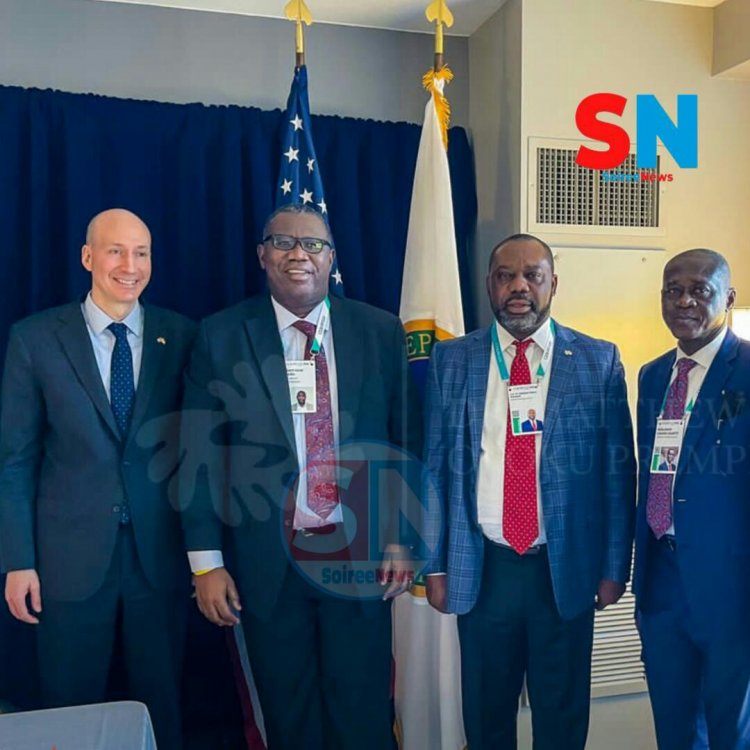 Support Africa to Embark on The Transition Agenda- Dr. Prempeh to US