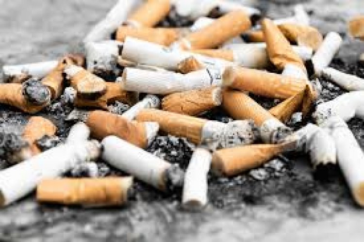 Avoid Excessive Smoking  Of Cigarette To Avert Tuberculosis  - Ghanaian Smokers advised