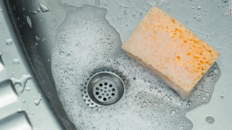 According to a study, a sponge provides the ideal environment for germs to thrive.