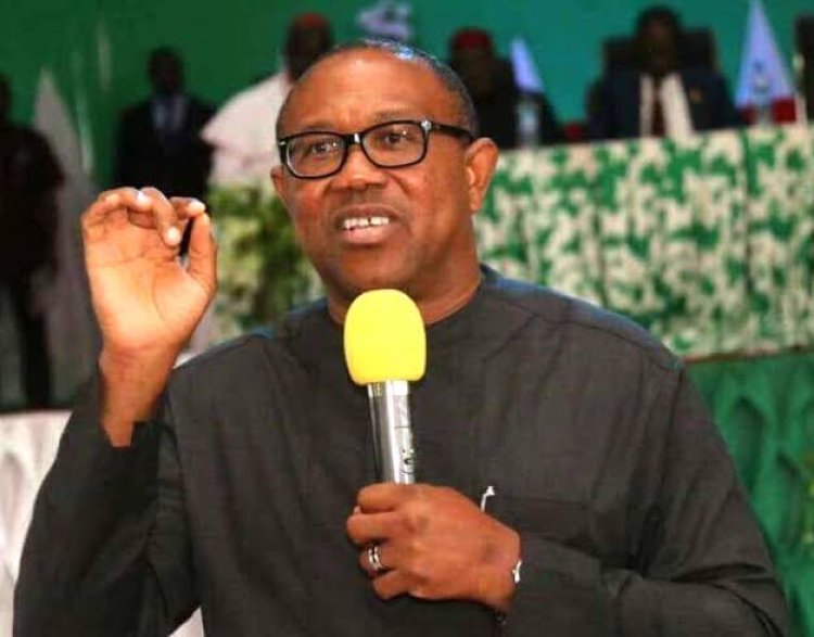 Peter Obi Confirms Intention To Run For President, Seeks Blessings