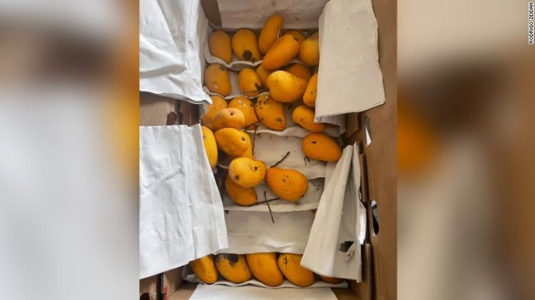 Opinion: We're stranded in Shanghai with 25 pounds of mangoes and some extremely accommodating neighbors.