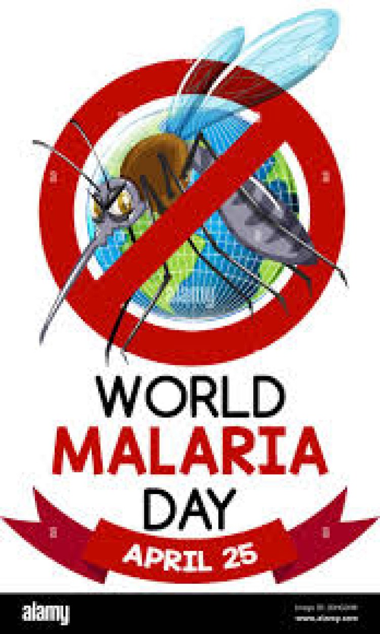 World Malaria Day: Ghana sees a decline in infection rate.