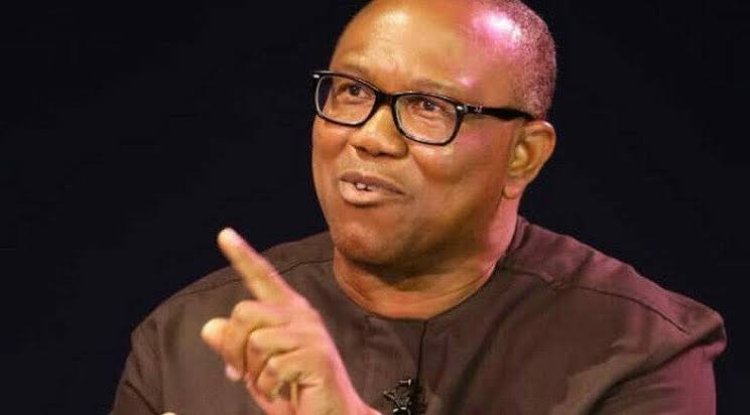 "Nigeria Must Live Within Its Means" -  Peter Obi