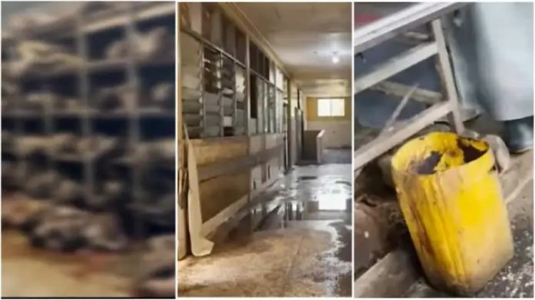 Video Of Korle Bu mortuary with bodies scattered around Pops Up