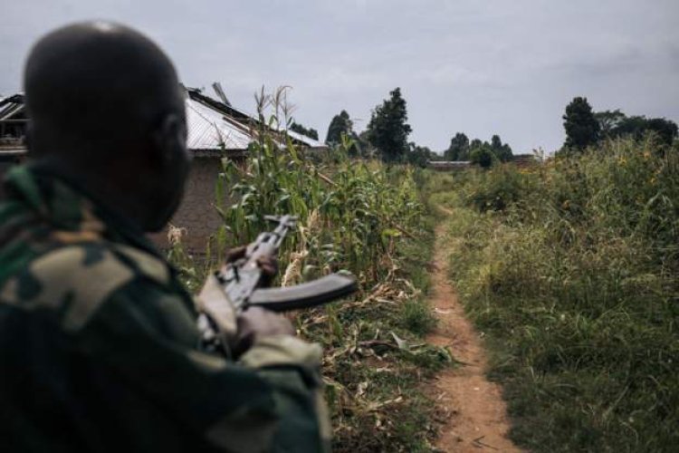 In a DR Congo incident, at least 14 people were killed, including children.