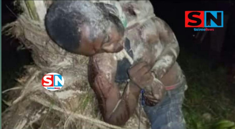Central Region: Mankessim, thief stoned to death after stealing plantain.