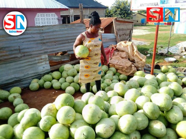 High Cost Of  Transportation Fares Affecting Our Sales -Water -Mellon Farmer's Cries.