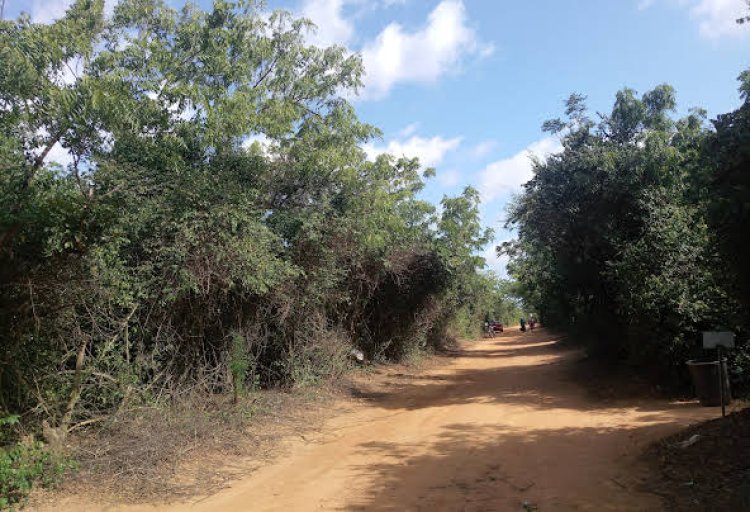 OccupyGhana Disagrees With  Any Further Release Of Achimota Forest Lands To Private Developers