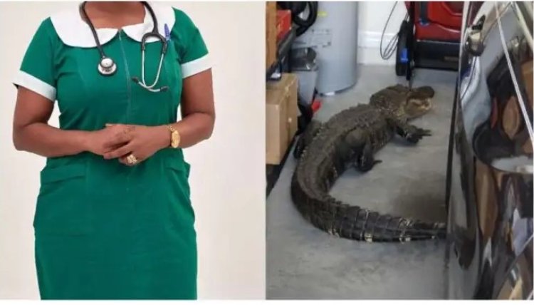 Hospital Reacts To Claims Student Nurse Turned Into Crocodile To Swallow Colleague