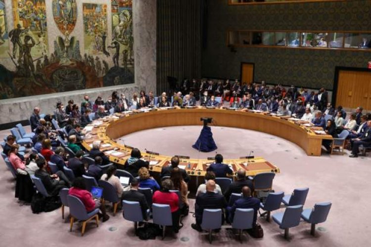 Mozambique has been elected to the United Nations Security Council.