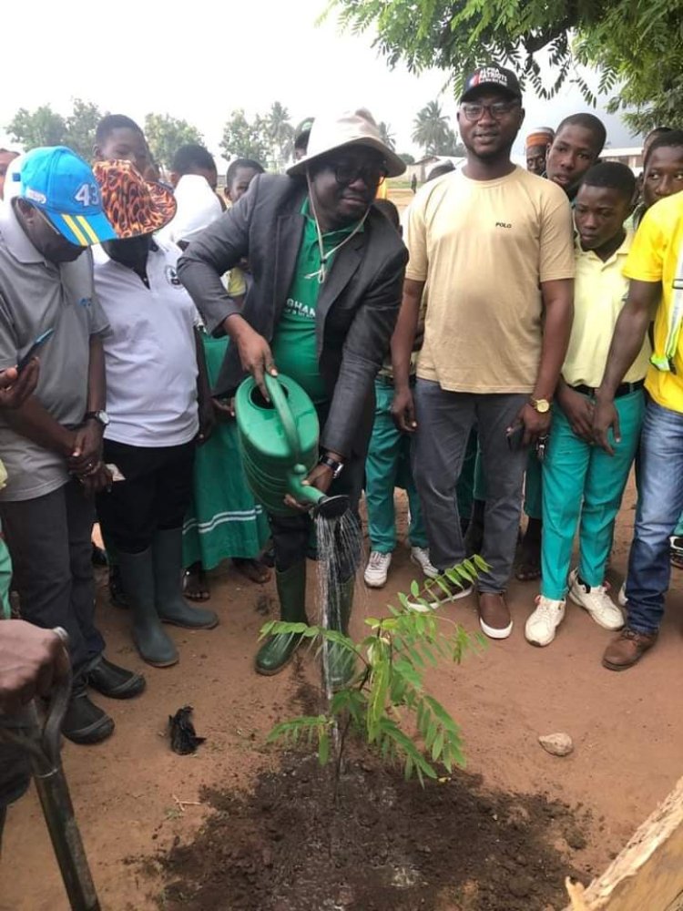 Green Ghana Day -. Wenchi MCE leads stakeholders to plant 10,000 trees