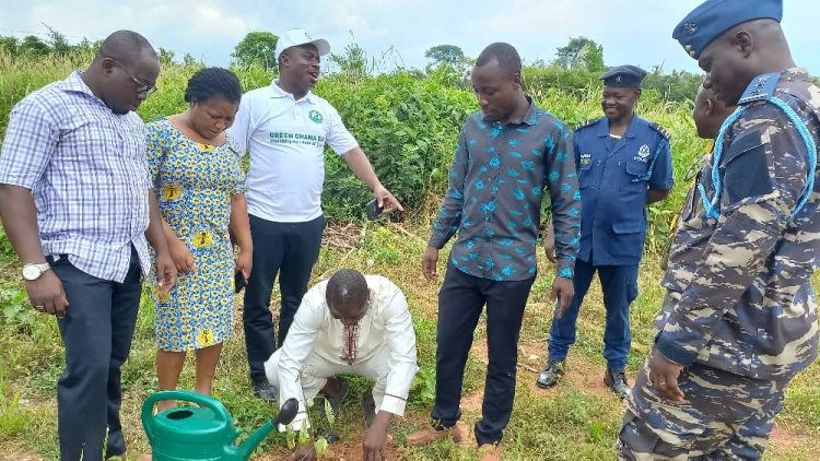Green Ghana Project: Make Tree Planting  Exercise Your Habit Dormaa West DCE Urges 