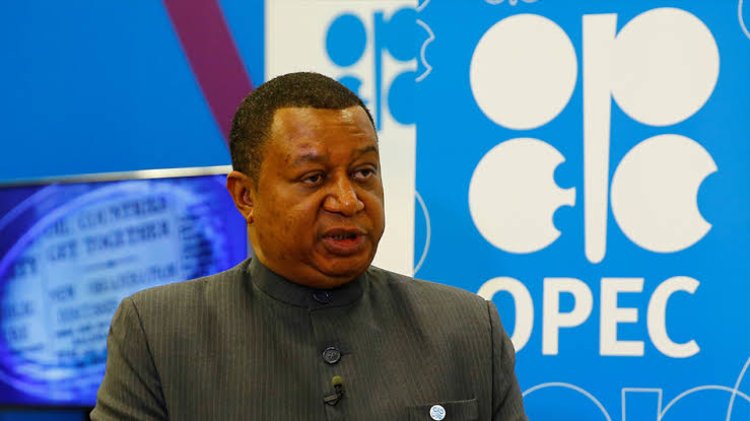 OPEC Secretary-General, Sanusi Barkindo Is Dead