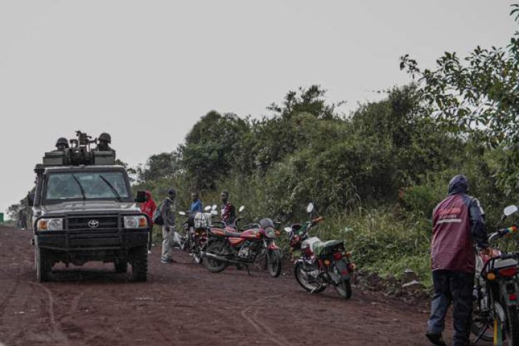 Over 30 people have died in the DR Congo violence thus far