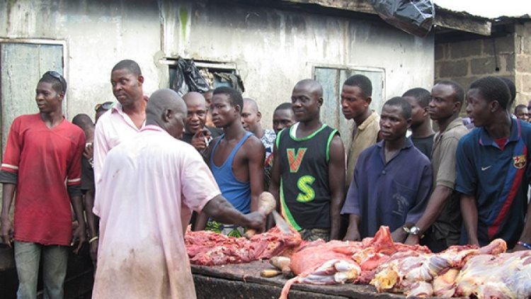 70% percent of diseases in humans are acquired from consuming infected meat of Animals - Veterinary Doctor Reveals
