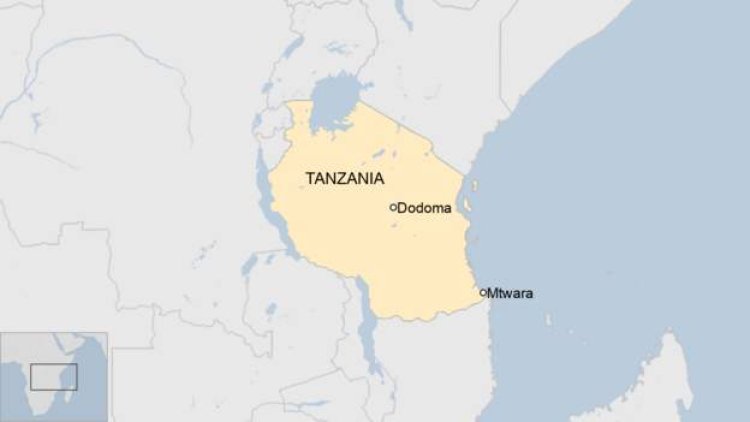 Eight schoolchildren die in Tanzania bus accident