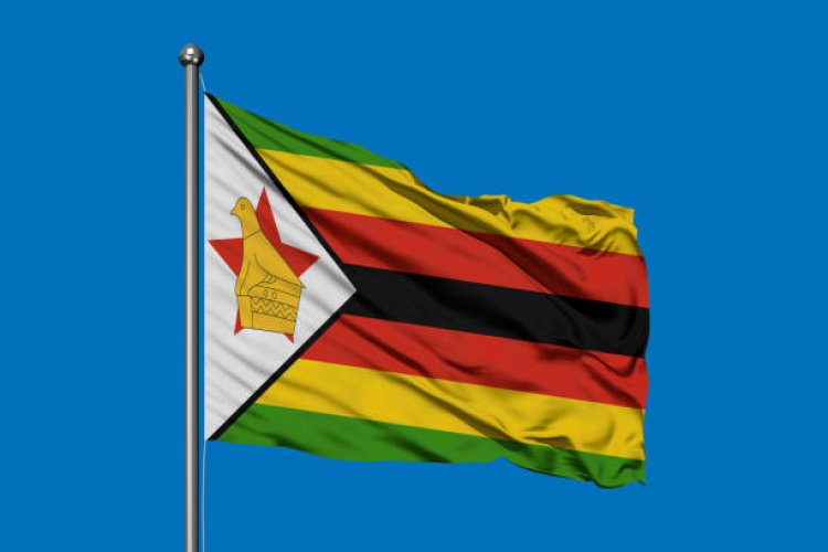 Zimbabwe civil servants on strike over pay