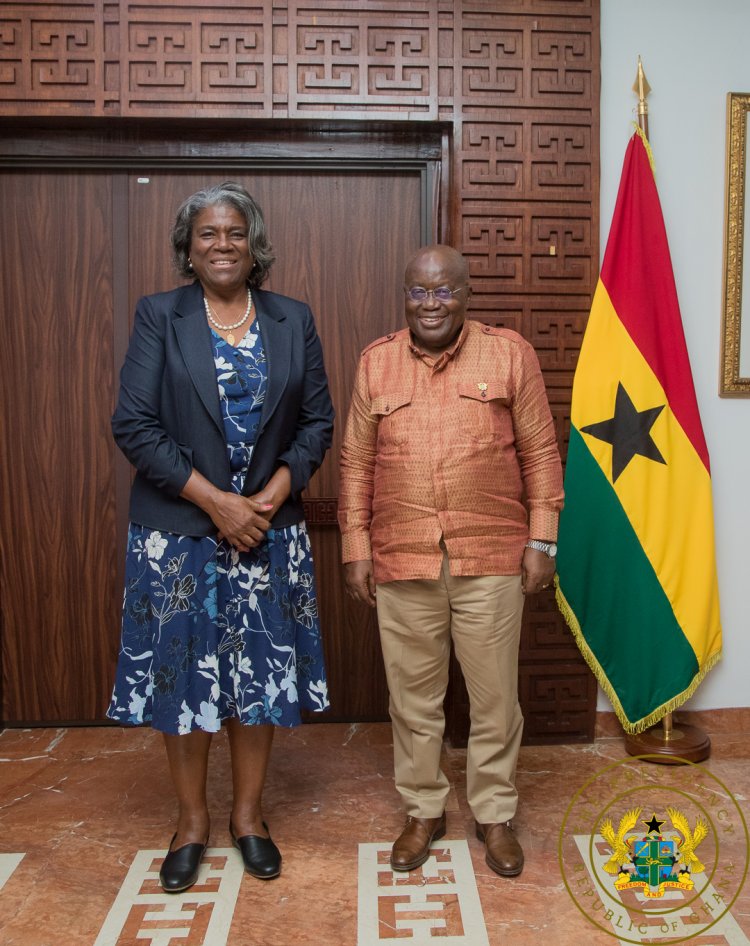 Your  Exceptional Leadership  In West Africa Appreciated By The US –US Ambassador To President Akufo-Addo