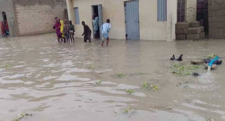 Flood Claims 50 Lives, Destroys Houses In Jigawa State