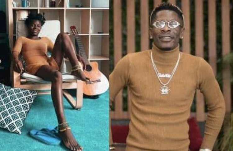 Shatta Wale Apologizes To Wiyaala For Sabotaging Her