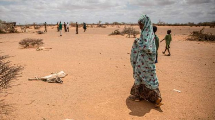 Horn of Africa drought 'beyond imagination' - UK