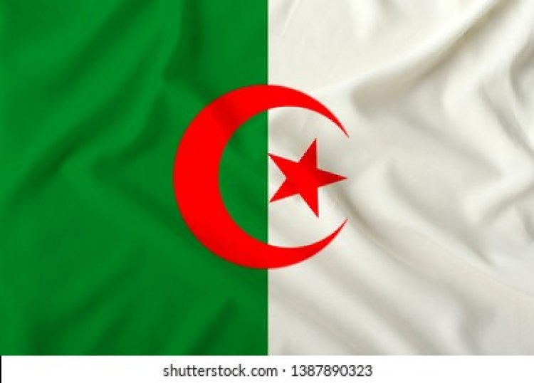 Nine killed in Algeria fuel tanker crash