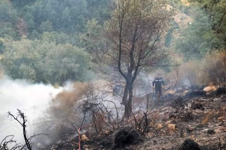 Teen who rescued children from Algeria wildfire dies