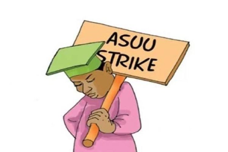 'Strike Continues, Federal Govt Yet To Take Concrete Action' – ASUU