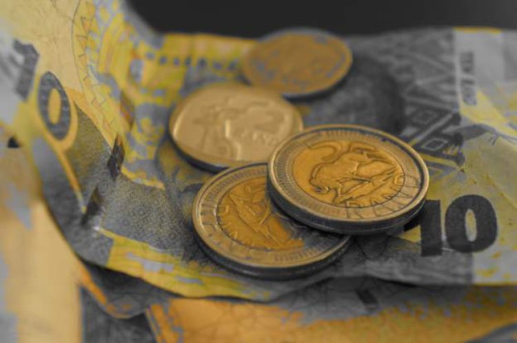 South Africa cabinet approves new-look coins