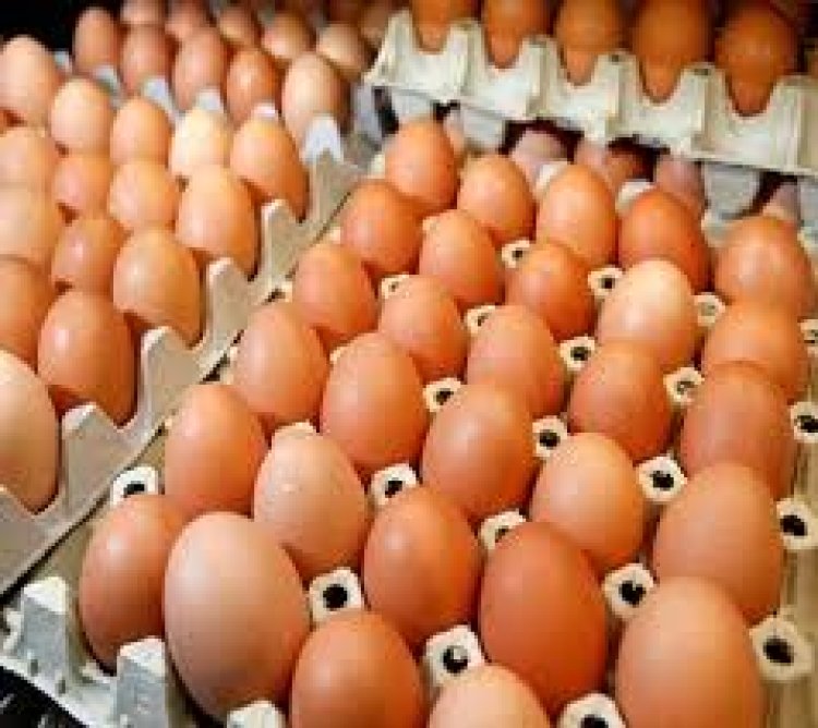 Poultry Farmers Announce New  Price For Egg