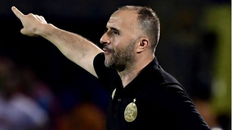 Friendly: Algeria Coach, Belmadi Reacts To Victory Against Super Eagles
