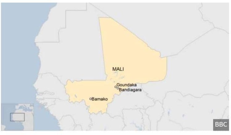 At least 11 killed, more injured in Mali bus blast