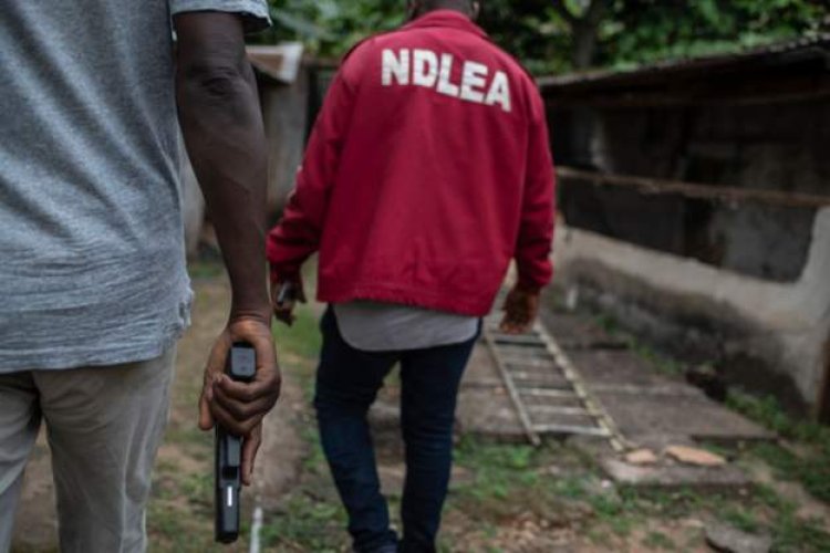 Nigeria’s anti-drug agency in mistaken identity raid