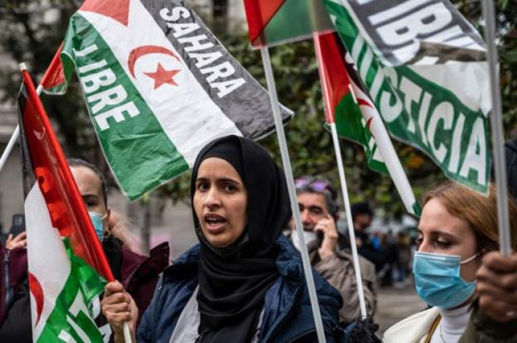 UN votes for Western Sahara talks to resume