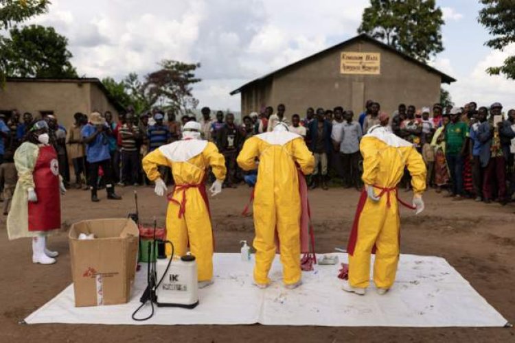 Nigeria at 'high risk' of Ebola spread from Uganda