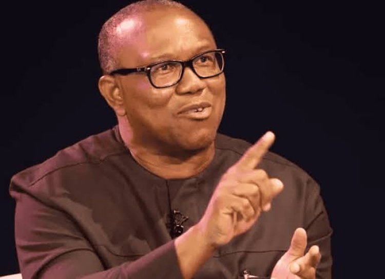 2023 Elections: 'Vote For Me Based On Competence' – Peter Obi
